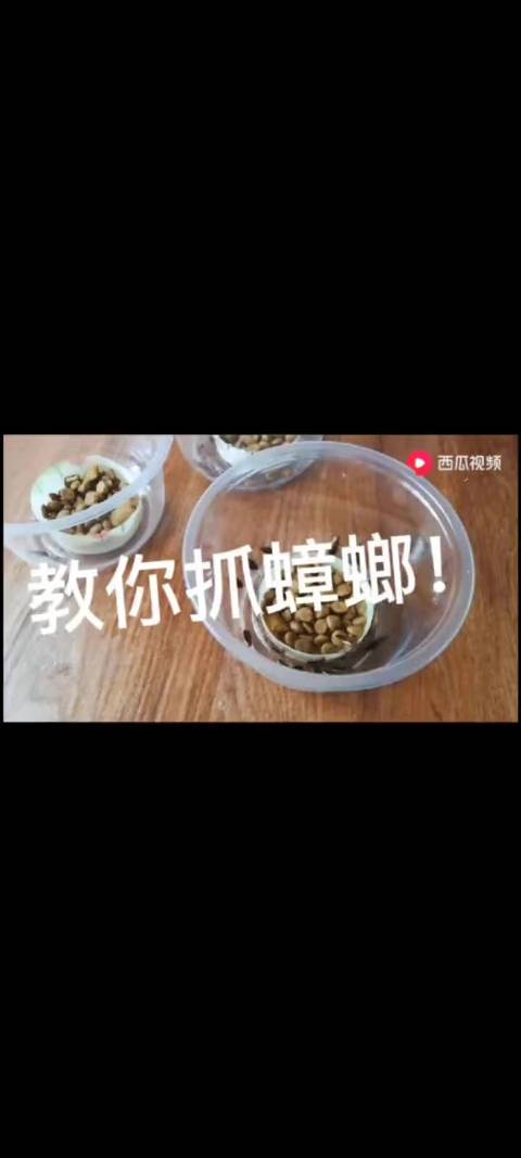 澳门一码一肖一特一中管家和酒店早餐吃出蒸蟑螂与酒店早餐吃出蒸蟑螂怎么赔偿