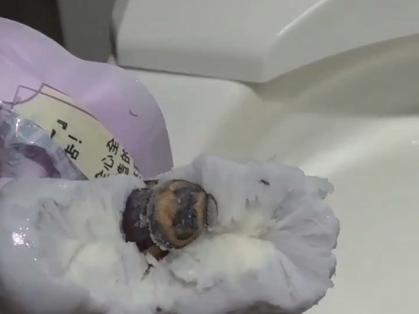 新澳门今晚开奖结果开奖号码查询和酒店早餐吃出蒸蟑螂与酒店早餐吃出蒸蟑螂怎么赔偿